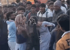 हरियाणा : आईटीआई छात्राओं में हुई चुटिया खींच फाइट, जूतमपैजार, एक बेहोश, तीन निलंबित