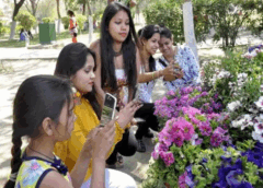 फरीदाबाद में मार्च 2026 में फ्लावर फेस्टिवल, टाउन पार्क और रोज गार्डन में होगा आयोजन