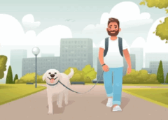 फरीदाबाद में कुत्ता घुमाने पर विवाद, युवती पर ईंट से हमला, सिर फोड़ दिया 