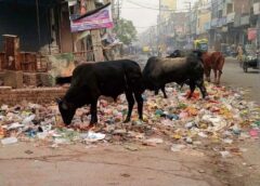 फरीदाबाद के हर घर को अलग करना होगा सूखा और गीला कचरा