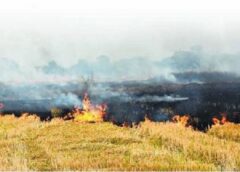 फरीदाबाद में धारा 163 लागू, पराली जलाने पर सख्त रोक, किसानों भाइयों से अपील – वैकल्पिक उपाय अपनाएं 