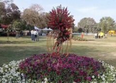 Faridabad Flower Festival 2026 का समापन, सांस्कृतिक कार्यक्रमों ने बांधा समा