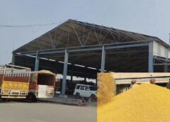 बल्लभगढ़ अनाज मंडी में  सरसों और गेहूं की खरीद की तैयारी पूरी, जानिए कब से शुरू होगी लिवाली 