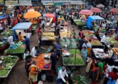 फरीदाबाद में 69 Street Vending Zone चिन्हित, रेहड़ी-पटरी वाले विक्रेताओं को मिलेगा तय स्थान और बेहतर सुविधाएं