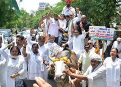 फरीदाबाद: कांग्रेस ने पेट्रोल-डीजल की मूल्य-वृद्धि के खिलाफ बैलगाड़ी पर किया प्रदर्शन 