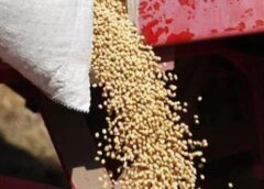 फरीदाबाद में सरकारी राशन वितरण की नई समयसीमा, जानिए कब तक मिलेगा अनाज