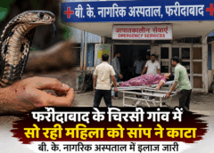 फरीदाबाद: चिरसी गांव में सो रही महिला को सांप ने काटा, बीके अस्पताल में भर्ती