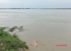 फरीदाबाद के मंझावली में यमुना किनारे दिखा मगरमच्छ, ग्रामीणों में दहशत 