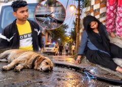फरीदाबाद में दर्दनाक हादसा: बिजली के टूटे तार की चपेट में आकर युवक और पालतू कुत्ते की मौत