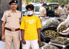 फरीदाबाद में 1.1 किलो गांजे के साथ युवक तौसिफ गिरफ्तार, हसनपुर से खरीदकर लाया था नशा